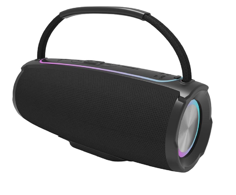 Altoparlante Bluetooth 5.3 Dual 10W 2600mAh Design con Maniglia Luce RGB e 4 Modalità di Riproduzione AUX TF FM USB Flash Drive