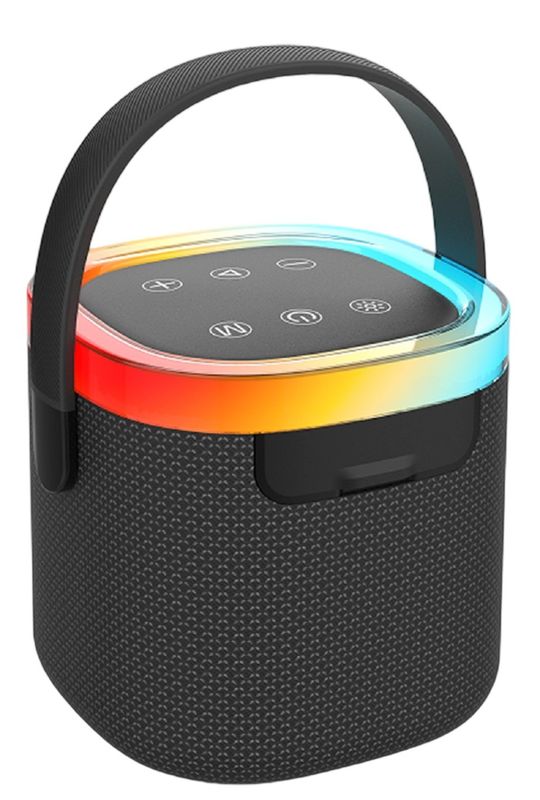 Altoparlante impermeabile da 66 mm 10W con grado di protezione IPX5, maniglia per il trasporto, batteria da 1800 mAh, AUX/TF/USB/FM, riproduzione a 4 modalità / Chiamata